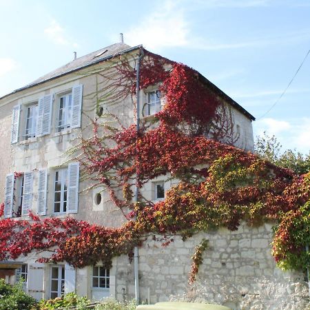 הוילה Gite Au Calme Avec Jardin Et Wifi A La Roche-Posay - Fr-1-541-52 מראה חיצוני תמונה